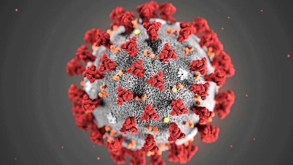 The astrologer predicted the end date of the coronavirus epidemic